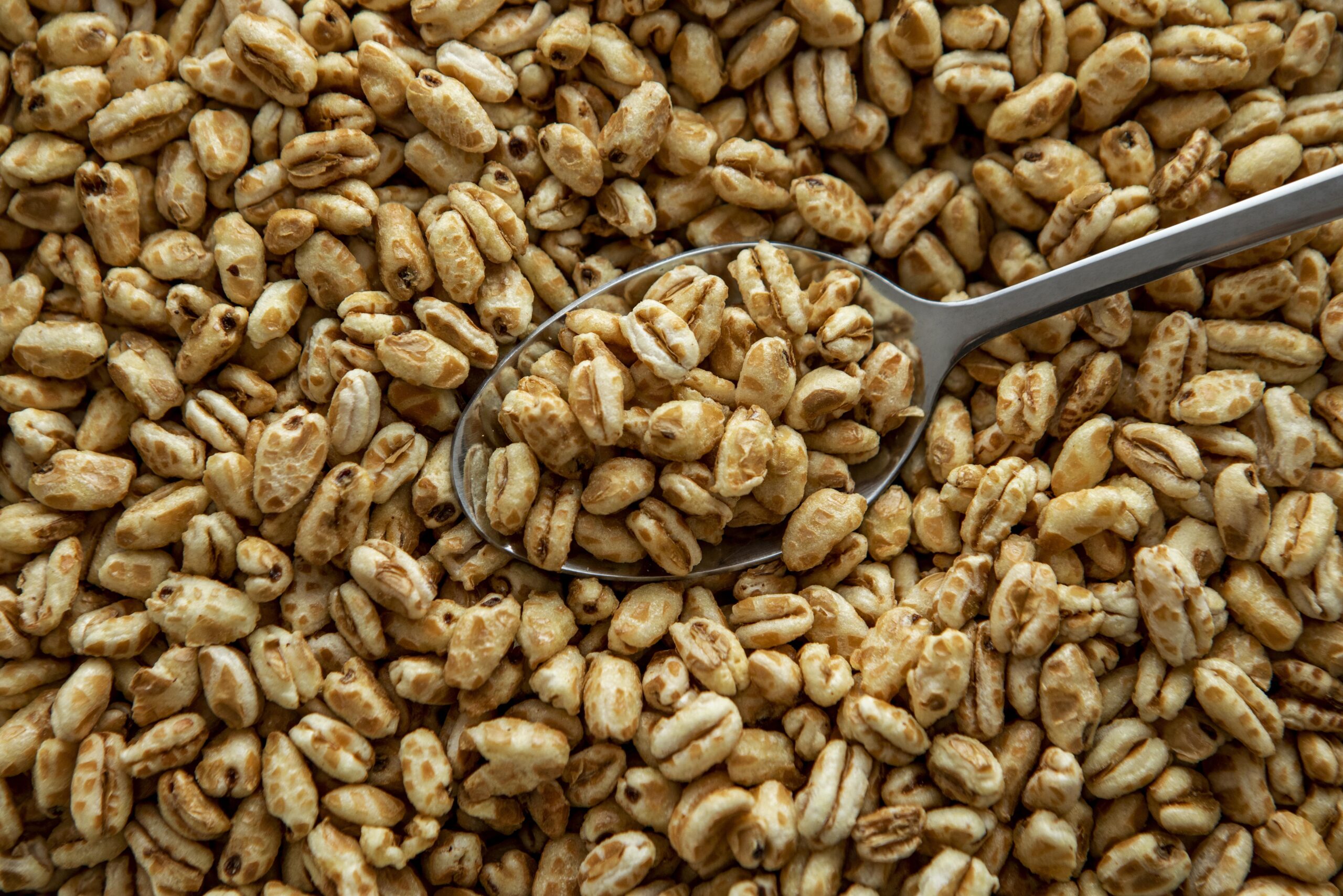 pszenica ekspandowana