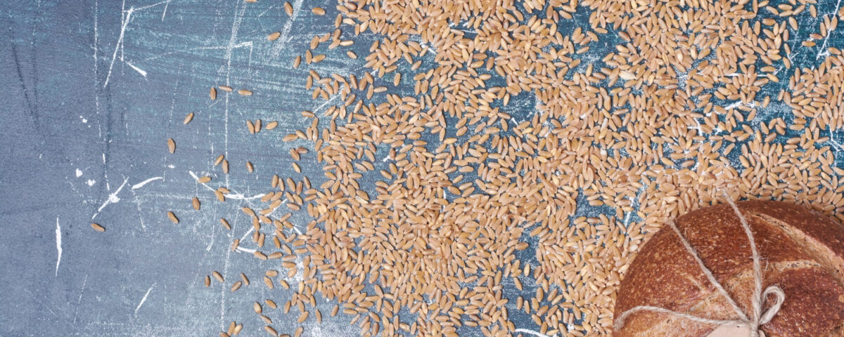 Ile azotu na pszenżyto