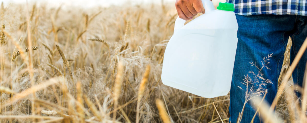Oprysk na grzyba pszenżyto ozime